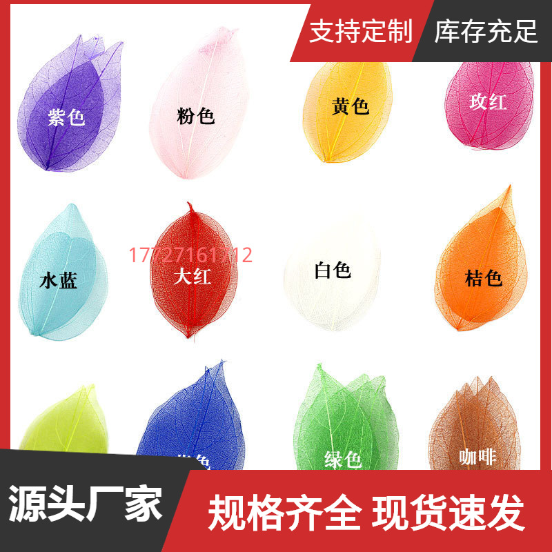 Natural Diamond Leaf Vein Embossed Mobile Phone Case Glue Dried Flowers DIY Handmade Materials to Make Embossed Jewelry Accessories