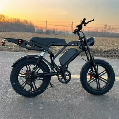 Takeaway Delivery Electric Bicycle, Heavy-Duty Two-Wheeler, E-Bike, Fat Tire Bike, Electric Scooter, Electric Motorcycle with Long Range (Elektrikli motosikletlər)