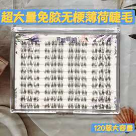 免胶免卸款超大量无梗薄荷假睫毛纯欲幼态仿真分段式单簇随取随用