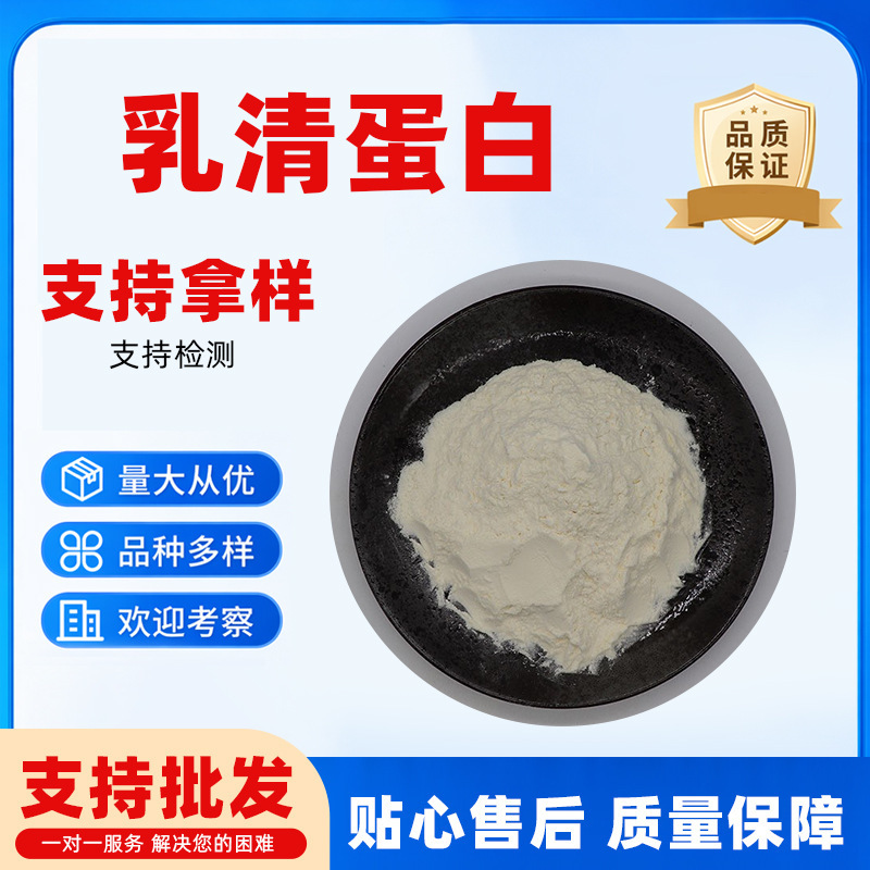 Whey Protein 80% in stock Whey Protein Concentrate Quality Assurance Whey Protein Powder Whey Protein 80% in stock Whey Protein Concentrate Quality Assurance Whey Protein Powder