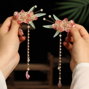 �h���^������K�l�A�������䌦�A����ʽ��ͯ���L�l��Ї��L���