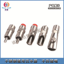 不锈钢猪水嘴 斜口式 圆口式 按钮式养猪设备猪水嘴