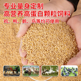 �S�����l�u��ϴ��bȫ�r��С�u�r�u����u���Zͨ��С�w���_�����