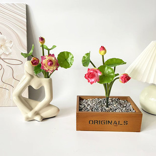 �F؛��֧����ɻ�ͥԺˮ���b@ˇ����DIY���ձ������沼�üٻ�