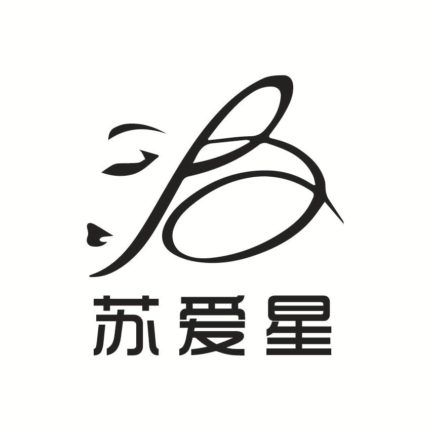 Suxingjia 플러스 사이즈 섹시한 속옷 가슴 패드 푸시 업 시스루 서스펜더 잠옷 레이스 스위트 나이트 가운 여성용 세트