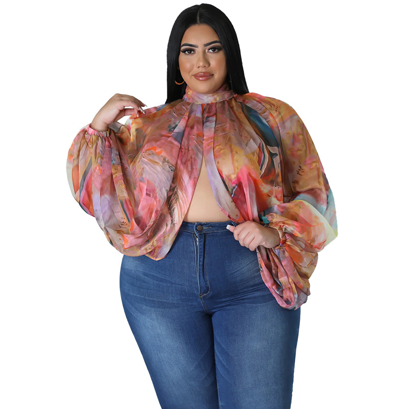 252g Weight Long Sleeve Sleeve Length Regular Sleeve Sleeve Type Spandex, Polyester, Chiffon Fabric Type Long Top Length Blouse Tops Type Daily, Street Occasion Round Neck Neckline Regular Fit Fit Type Color Block Pattern Spring&Summer Season Streetwear Style Blouse Long Sleeve Plus Size Tops Streetwear Color Block 24