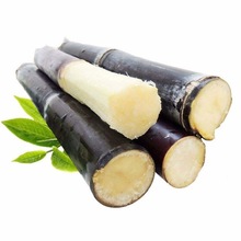 广西黑皮甘蔗产地直发农家甘蔗包邮新鲜水果黑皮甘蔗一件代发