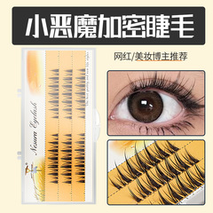 Small Demon Comic Single Cluster Spire Soft False Eyelashes Beginner Natural Dense Pure Desire Cat Ears Barbie Dove Hair