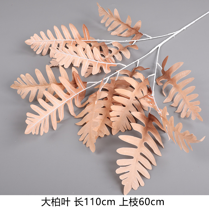 큰 노송 나무 잎