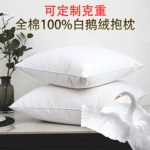 全棉鹅毛羽绒枕头芯纯棉羽毛抱枕芯酒店沙发靠背腰垫抱枕厂家批发