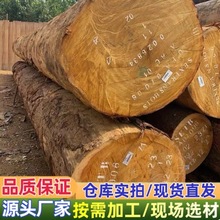 �S��ԭľ��� �S��ľ �t��ԭľ��� �sľ �t�sҎ��ӹ��SӲľ�͵�