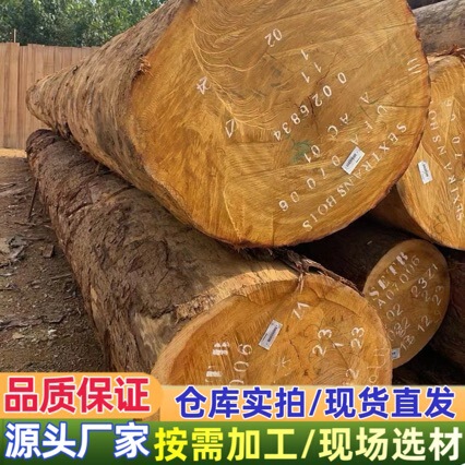 Yellow Milk Log Board Yellow Milk Wood Red Birch Log Board Miscellaneous Wood Red Miscellaneous Specifications Processing Yellow Hardwood Bati