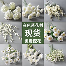 ��ɫϵ���滨�� �Ҿӻ�Y��c�Y�õ���b�õ�彑��ٻ��S�����l