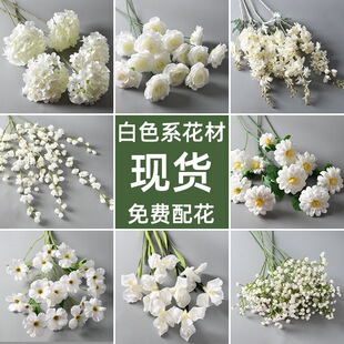 ��ɫϵ���滨�� �Ҿӻ�Y��c�Y�õ���b�õ�彑��ٻ��S�����l