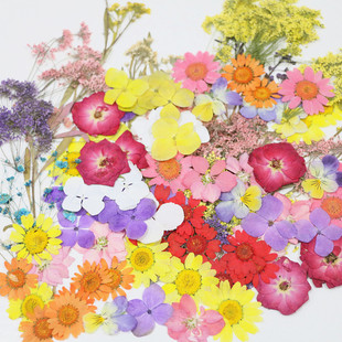 �ɻ��˱����σ�ͯ�ֹ�diy�ʊy�ɻ����z���ՔzӰ��ӡ���ϴ������