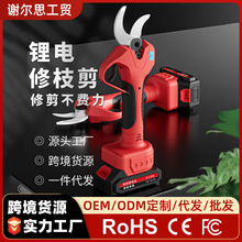 늄���֦����֦�޼��o�������늳س��ʽ�@�ִ�֦늄Ӽ���