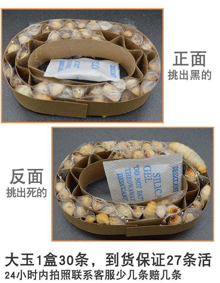 一键上货_20241007174736