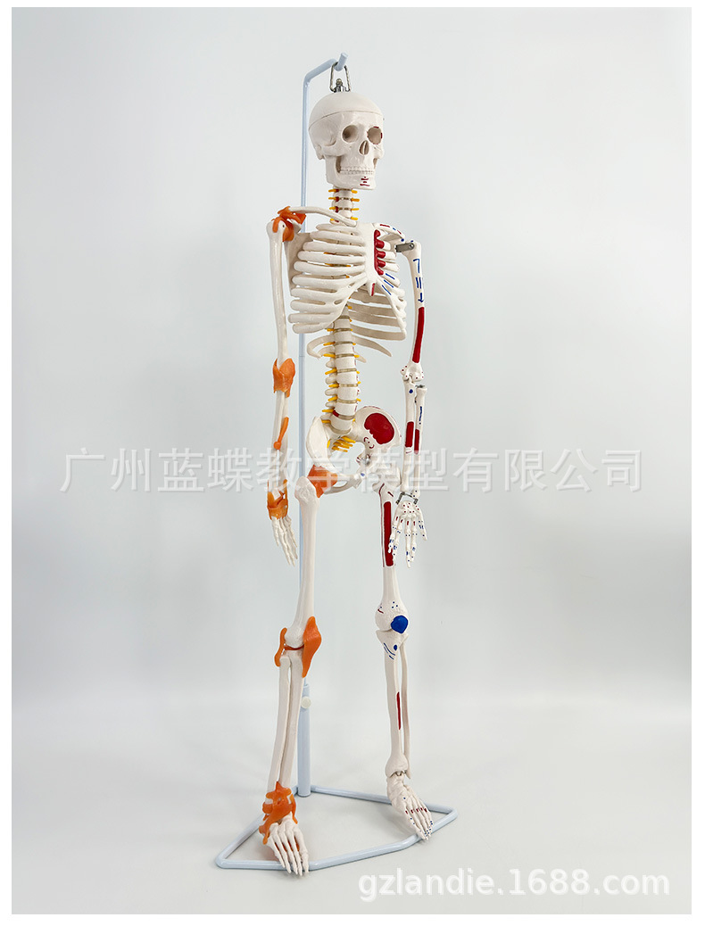 详情_22