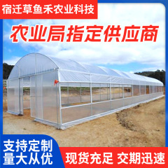 単体アーチ簡易温室楕円管トンネル農業養殖棚日光温室花卉育苗栽培暖棚