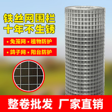 304不锈钢电焊网 热镀锌电焊网 抹灰墙网 内外墙挂网防裂网批发