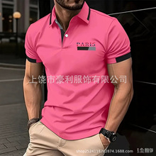 �羳�����ļ�������ʿ����polo������ӡ�����аٴ��dzͼ��