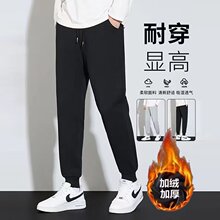 2026���¿�ӽqѝ���п�Ӻ񶬼���ѝ���eѝ���_ѝ��ʿֱͲ�lѝ