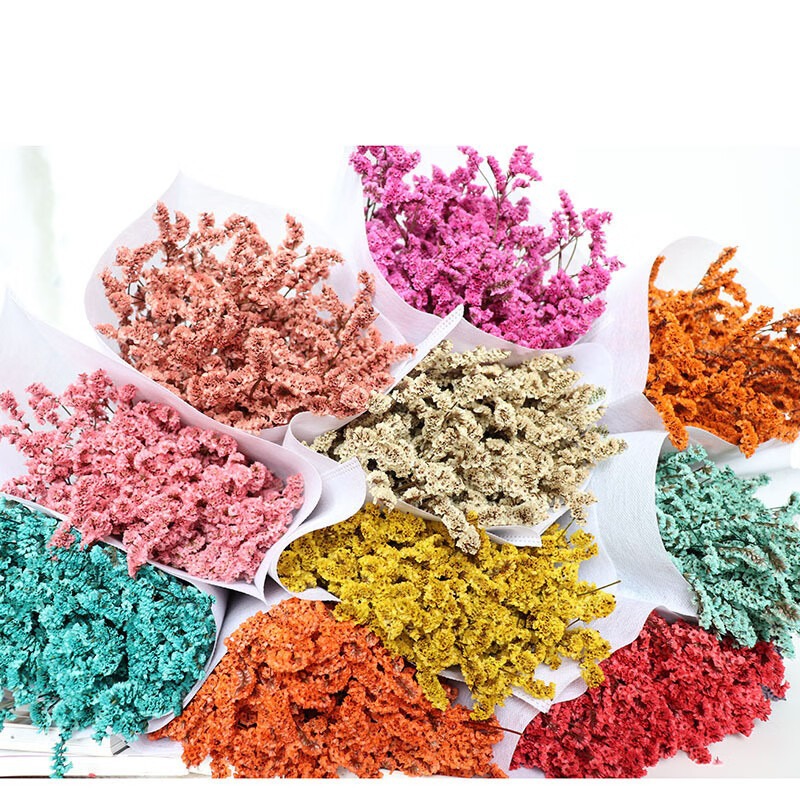 勿忘我干花客厅阳台送礼节日压花浪漫风干花束押花手工制作永生花