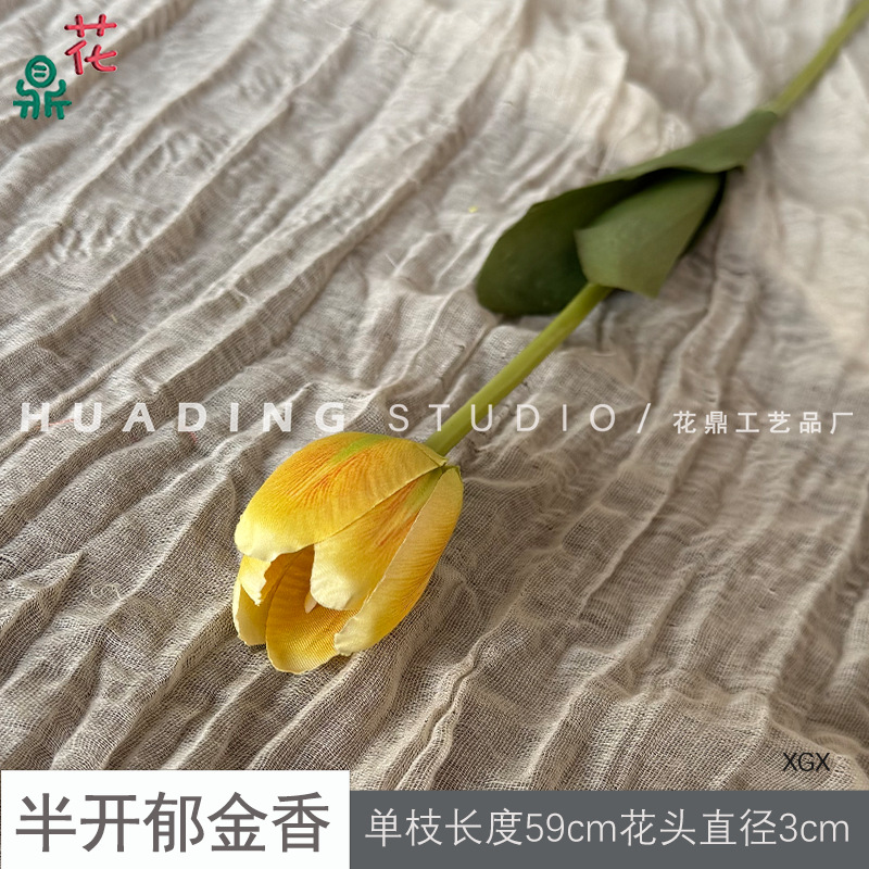 반개 튤립 XGX 옐로우