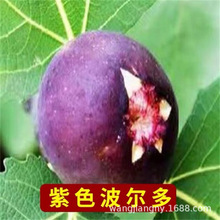 ��ɫ�׃����o����������ɫ���ğo�����ͺ�ͥԺ�ϱ����Nֲ����Y��