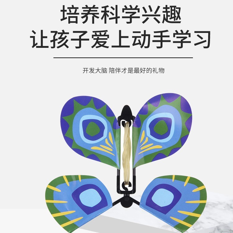 蝴蝶标本摆件真蝴蝶昆虫标本展翅学生创意生日礼品科教教具玩具|undefined