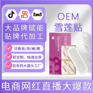 Oem Customized Sanitary Pads Snow Lotus Patch Chinese Medicine Pads Women's Hygiene Care Private Patch Snow Lotus Care Pads