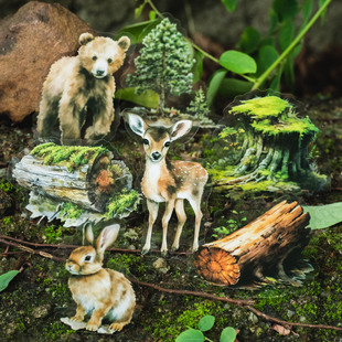 ���õ�һ���N���� ɭ��֮��ϵ�� ɭ�ք������}DIY�b��N��25��6��