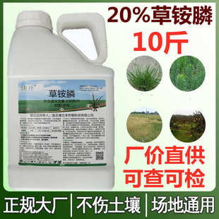 20%���@� 20%���݄��������_��ǧ�˜����Գ��݄����@�ײݰ���