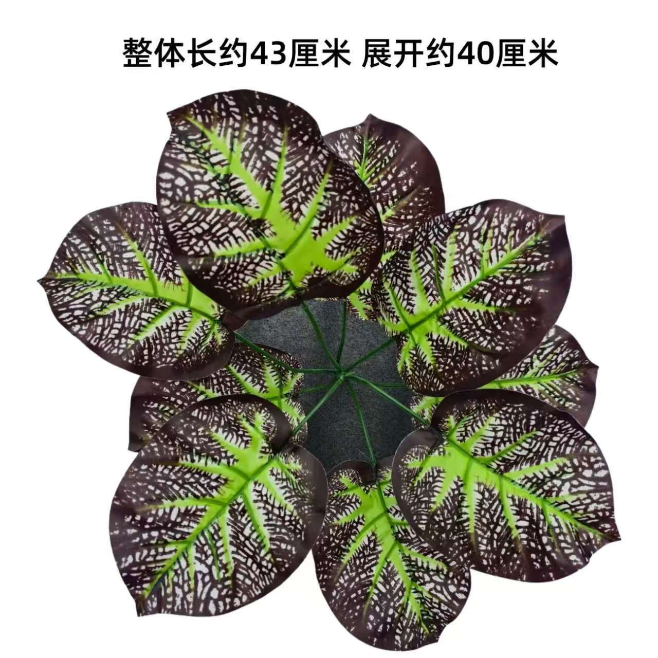 Nine-pronged large plant new model no. 26