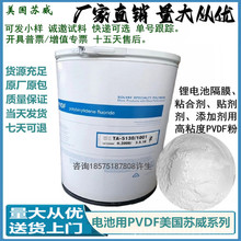 ���ϻ��� �������ߺͺ˷���PVDF 31508��ĩ Solef ���ߵ�����