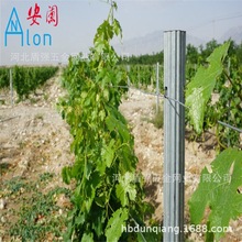 ��������֬�h�������їU�� �O�����ш@���� �J���ҼܗU���B�W����