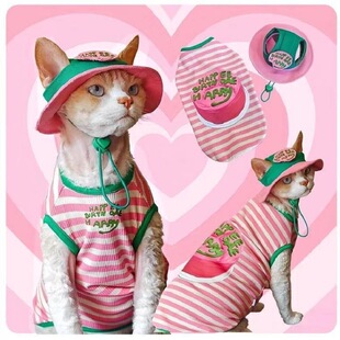 �ɐۗl�y˹�ҿ�˹؈���ğoë؈�ļ�������·��l�y���ĳ���