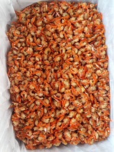 �r�ʸɴ���r���r����ɸɃ��oɳɳ�r���r�׺������l