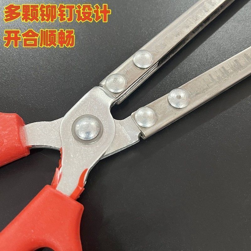 d66dc562-5daf-4c59-908f-f6a3fd34fdb7.jpe