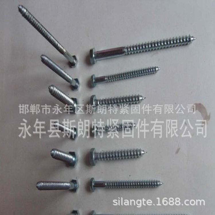 ������ľ��˿ ľ�ݶ� �Ҿ���˿ DIN571 ��п �Ʋ� ˹���ؽ��̼�