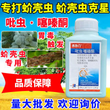 杀扑介爆介蚧壳虫介壳虫爆介专用药蚧必治柑橘果树多肉磷农药杀虫