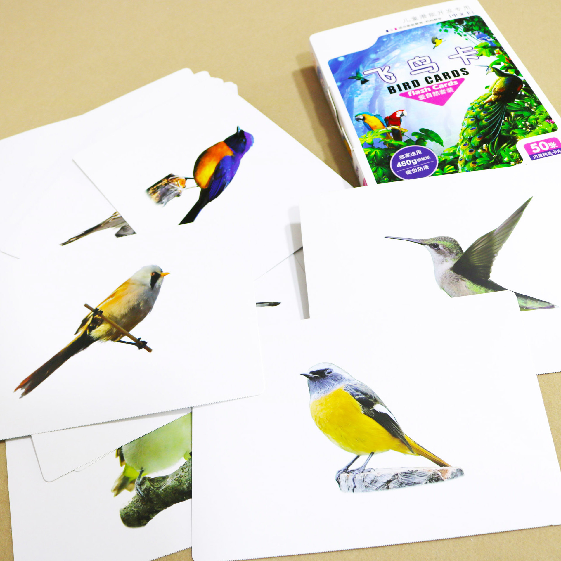 Bird card (50 pieces)