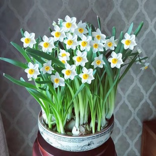 ˮ�ɻ��N���҃��̨ˮ��ˮ�����Զ����ͺ�ˮ���҃��̨��ˮ�ɻ���