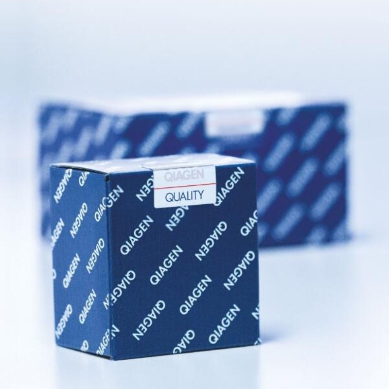 凯杰Qiagen 52906病毒RNA小提试剂盒 QIAamp Viral RNA Mini Kit