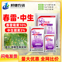 13%شùؼSϽǰ߲rArș