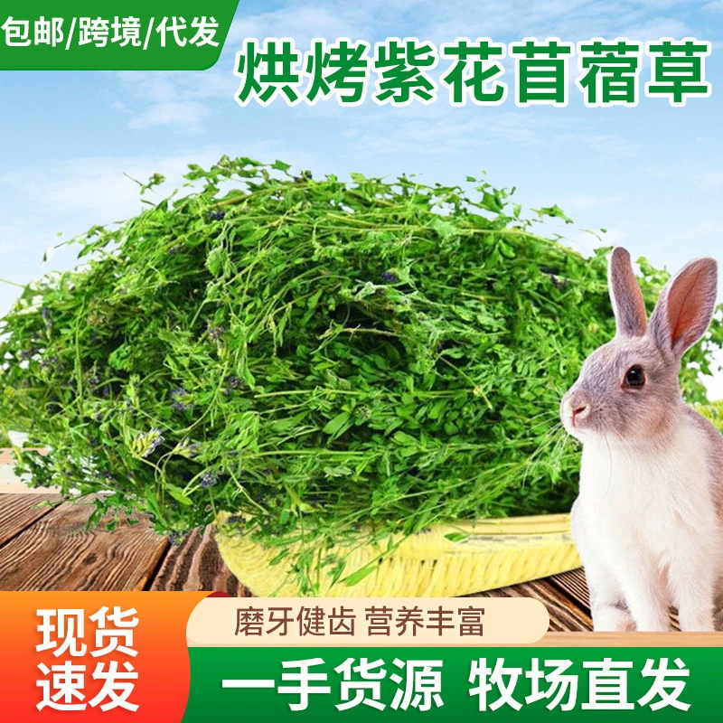 25 лет сена люцерны для кроликов, шиншилл, морских свинок, сена люцерны крупнолистовой.