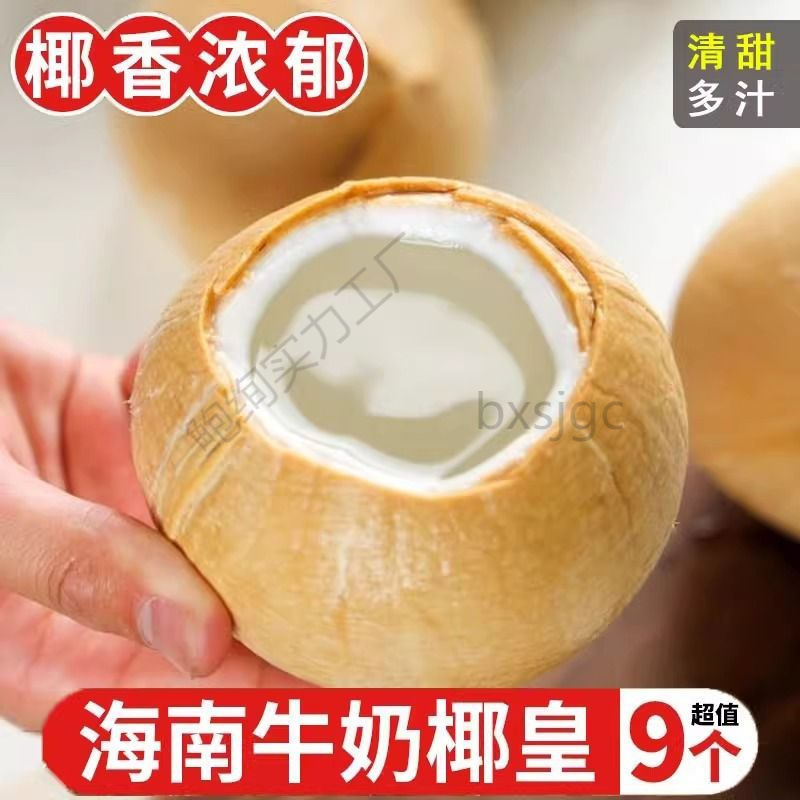 海南椰子泰国牛奶椰皇去皮椰青当季水果现摘2469整箱批发多省包邮