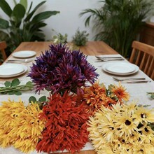 ���Sֱ�N�＾6�^�������ᘾՈ��������bW�����N�����[�Ų���