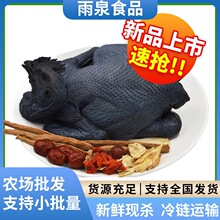 乌鸡新鲜土鸡农家散养乌骨鸡活鸡活体现杀整只