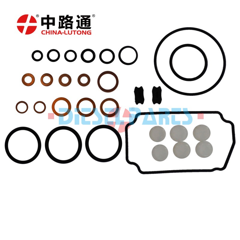 F01M101454 Diesel Fuel Injection Valve Repair Kit Cp1-454
